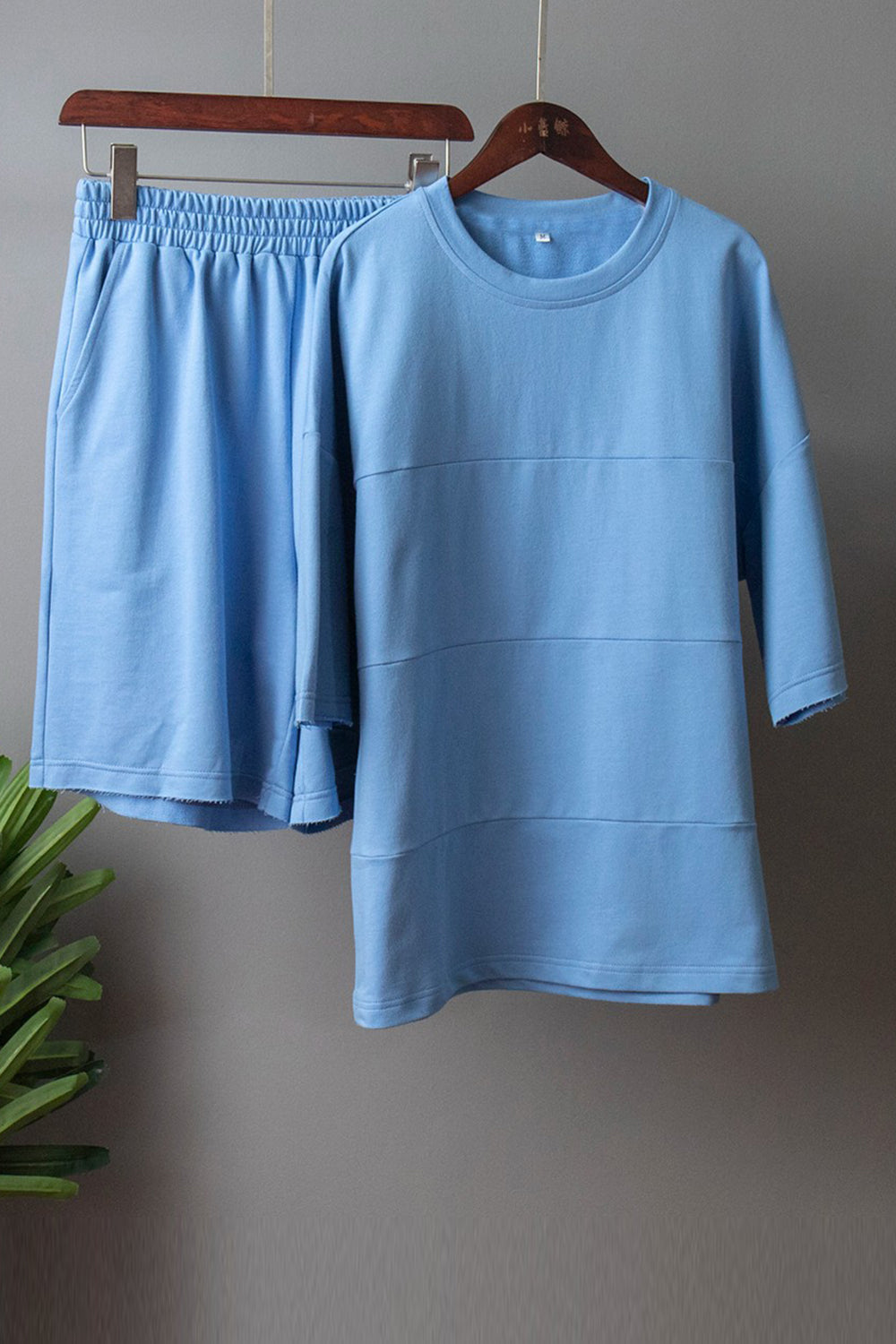 Long Sleeve Top and Shorts Set